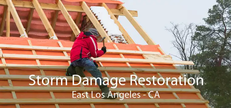  Storm Damage Restoration East Los Angeles - CA
