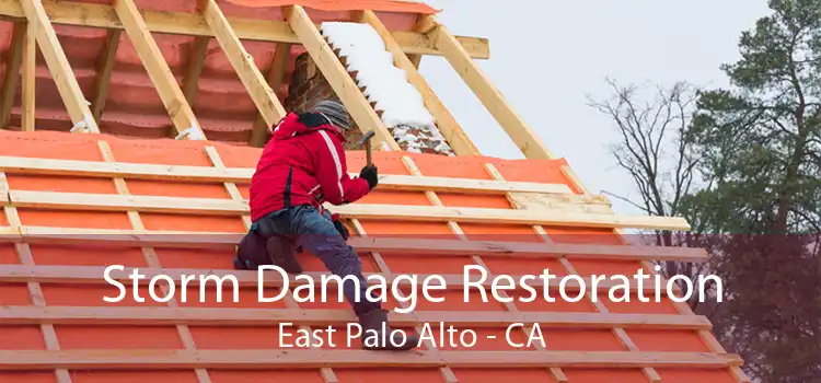  Storm Damage Restoration East Palo Alto - CA