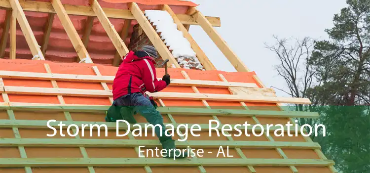  Storm Damage Restoration Enterprise - AL