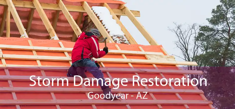 Storm Damage Restoration Goodyear - AZ