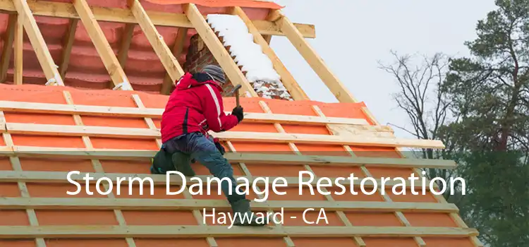  Storm Damage Restoration Hayward - CA