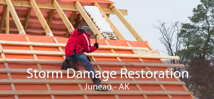 Storm Damage Restoration Juneau - AK