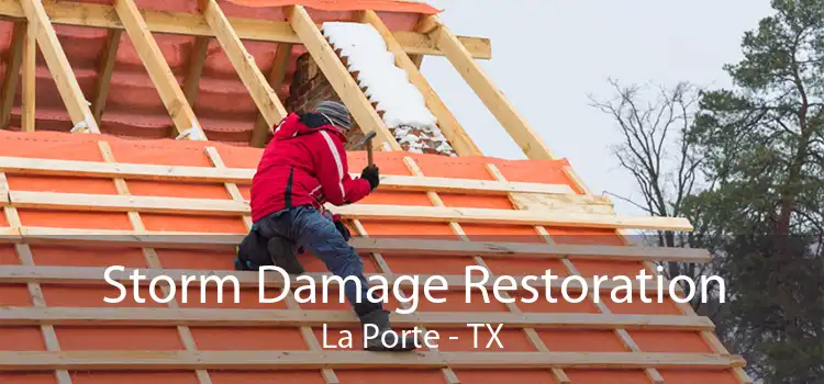 Storm Damage Restoration La Porte - TX