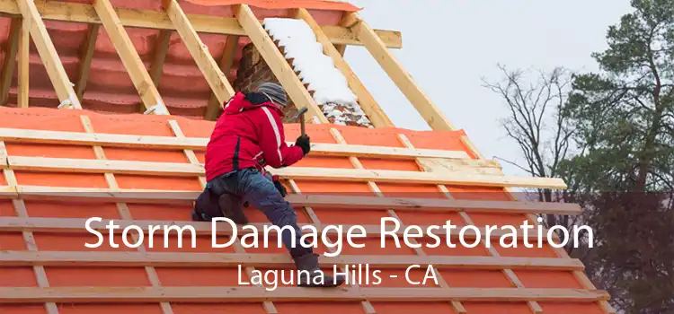  Storm Damage Restoration Laguna Hills - CA