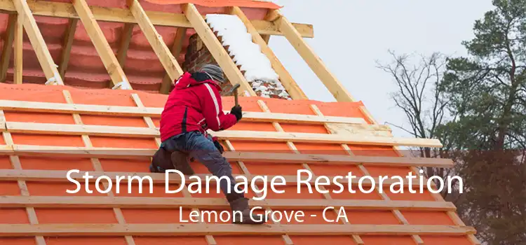  Storm Damage Restoration Lemon Grove - CA