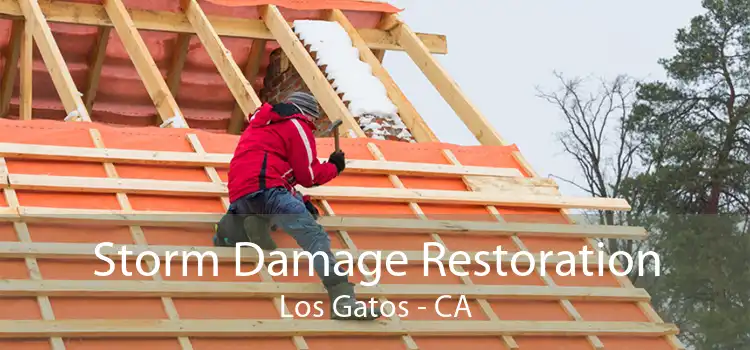  Storm Damage Restoration Los Gatos - CA