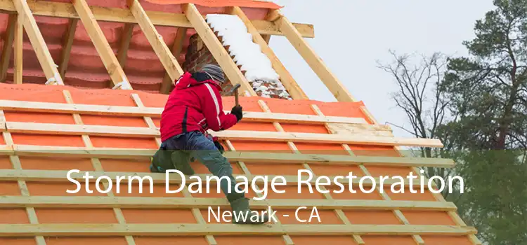  Storm Damage Restoration Newark - CA