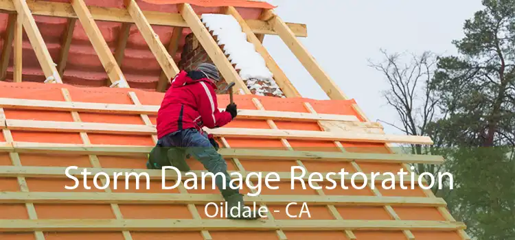  Storm Damage Restoration Oildale - CA