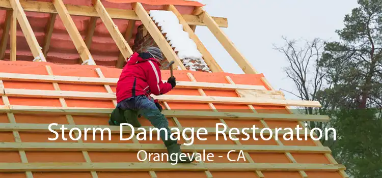  Storm Damage Restoration Orangevale - CA