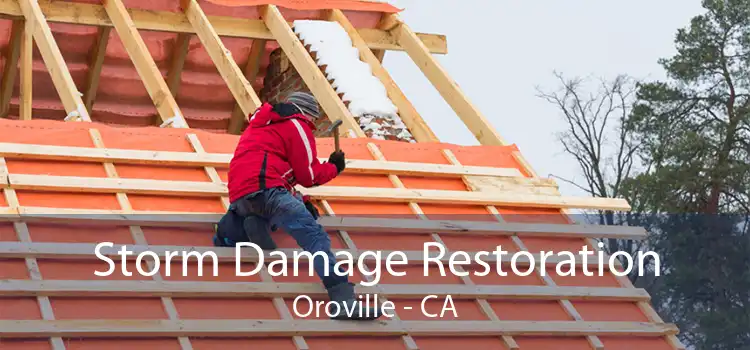  Storm Damage Restoration Oroville - CA