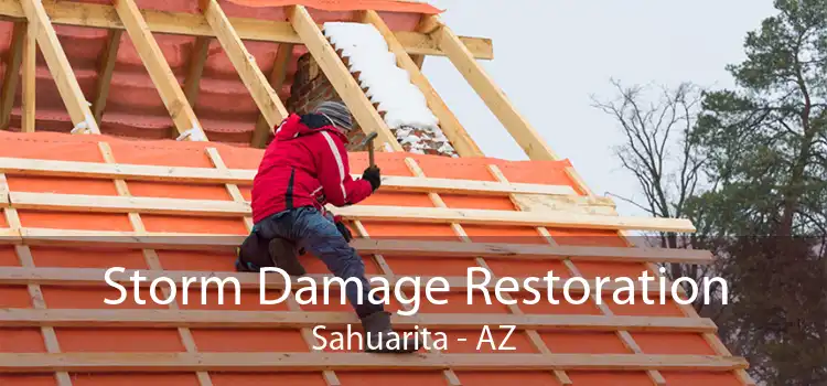Storm Damage Restoration Sahuarita - AZ