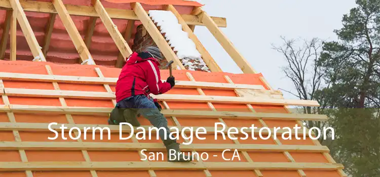 Storm Damage Restoration San Bruno - CA