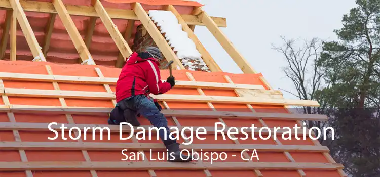  Storm Damage Restoration San Luis Obispo - CA