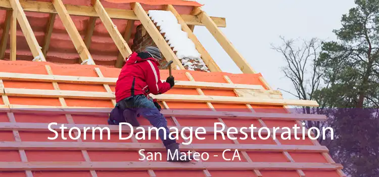  Storm Damage Restoration San Mateo - CA