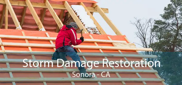  Storm Damage Restoration Sonora - CA