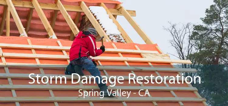  Storm Damage Restoration Spring Valley - CA