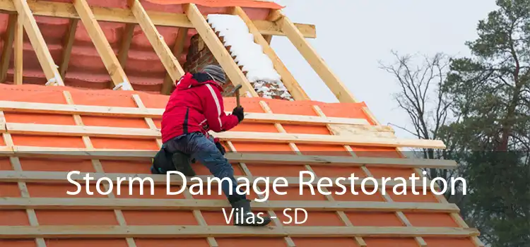 Storm Damage Restoration Vilas - SD