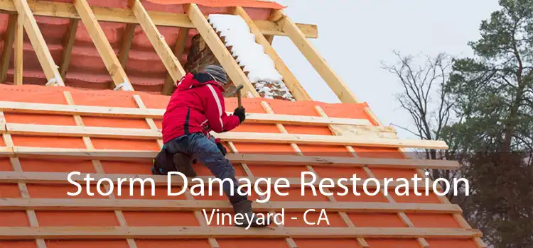  Storm Damage Restoration Vineyard - CA