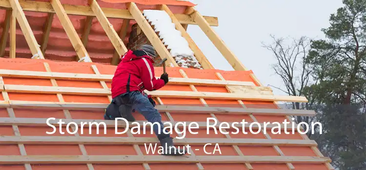  Storm Damage Restoration Walnut - CA