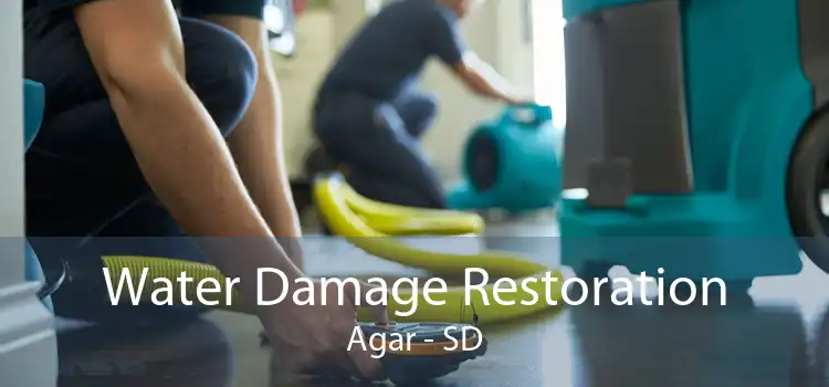 Water Damage Restoration Agar - SD