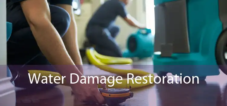 Water Damage Restoration 